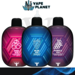 Panther Bar 5500 Puffs Rechargeable Disposable Vape in Dubai by Dr. Vape