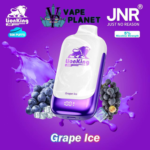 JNR Lion King 50000 Puffs Disposable Vape 50MG in UAE