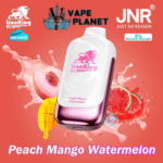 JNR Lion King 50000 Puffs Disposable Vape 50MG in UAE